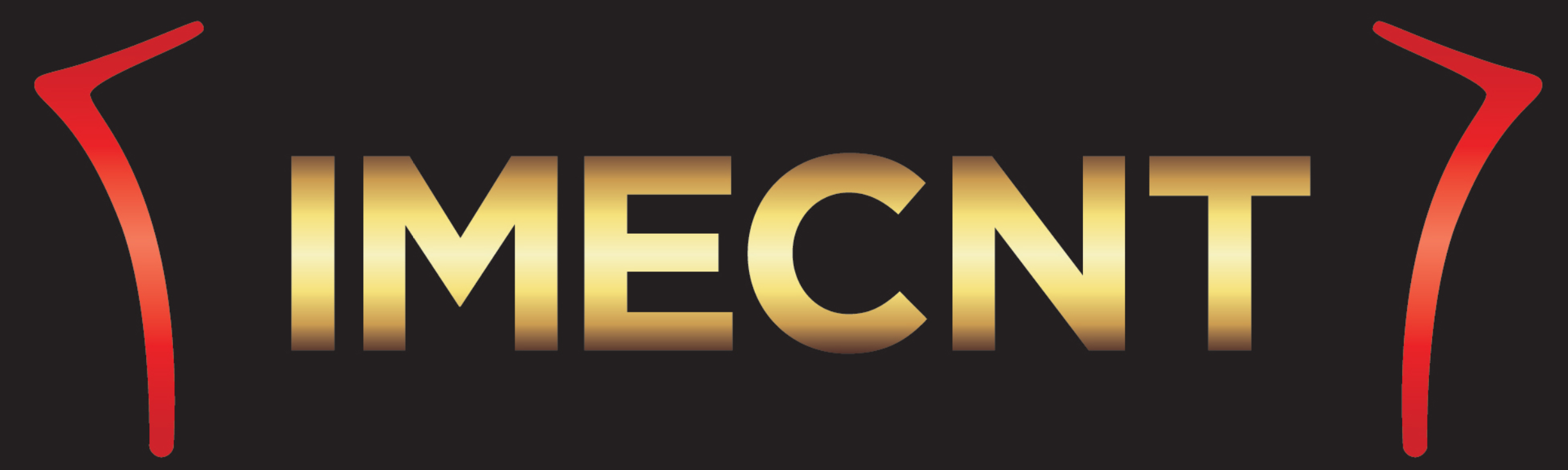 IMECNT (Indigenous Mining & Energy Consultants NT Pty Ltd t/as)